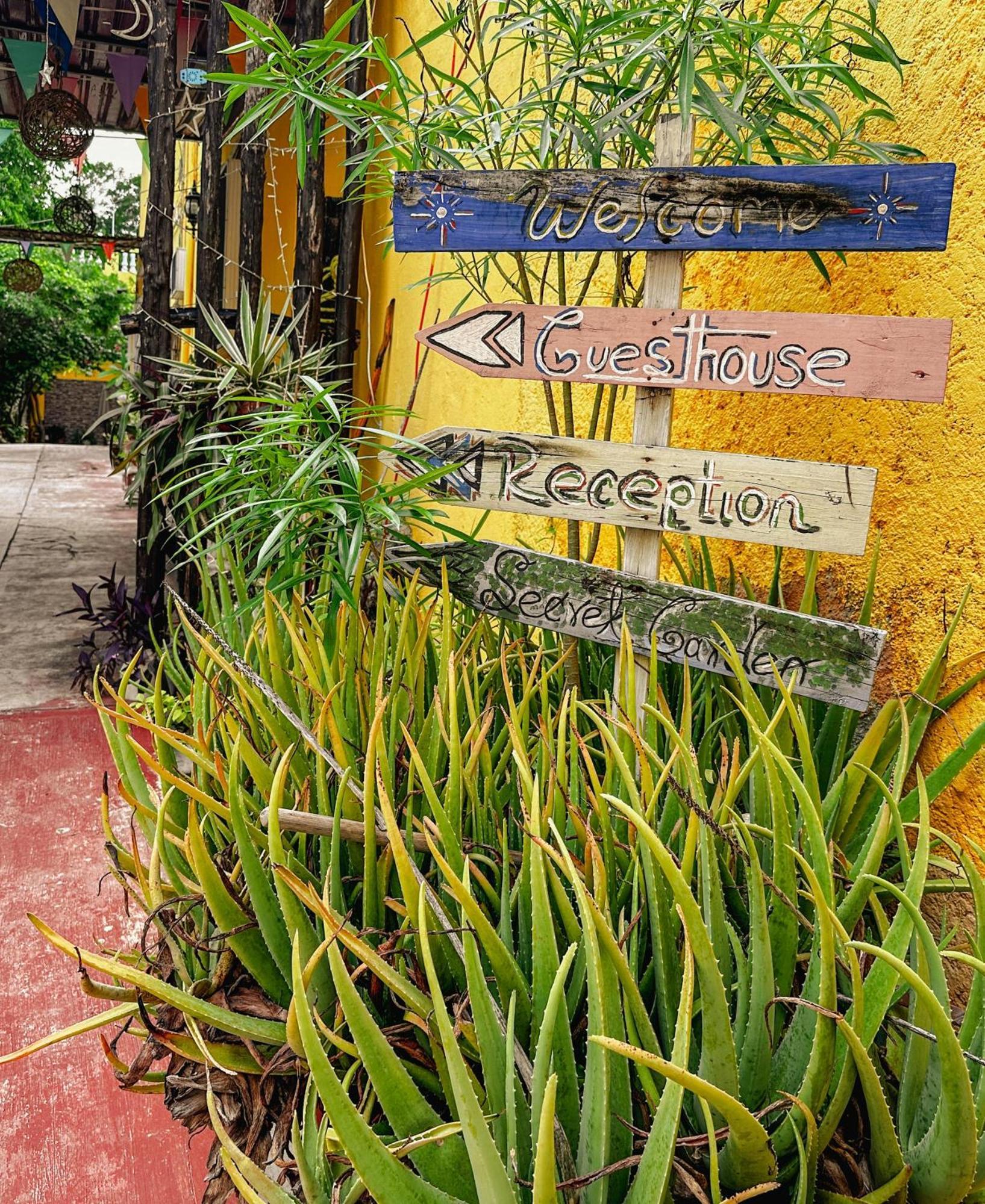 Casa Daniels Guesthouse วัลลาโดลิด ภายนอก รูปภาพ